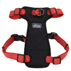 Online Coastal Arn S Brights Reflective Front-Connect, Canyon