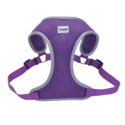 New Coastal Arn S Reflective Wrap Adjustable Dog, Purple