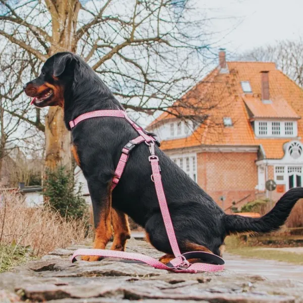 New Max & Molly Arn S Retro Pink