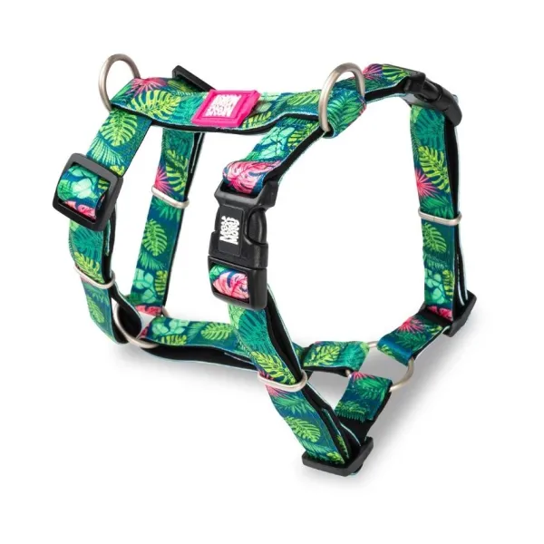 Outlet Max & Molly Arn S Tropical