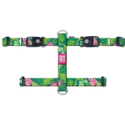 Outlet Max & Molly Arn S Tropical