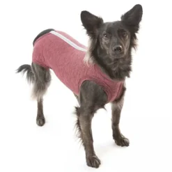 Discount Petmed Body Quirurgico Perro - Rosado