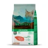 Discount Bravery Chicken Kitten 2 Kg Alimento Para Gato