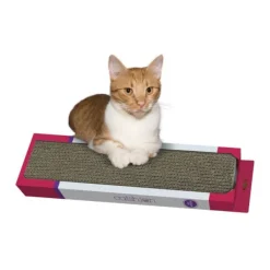 Sale Catshion Scratch Golf