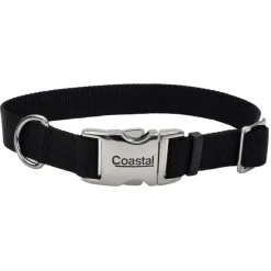 Coastal Collar Adjustable Dog With Metal Buckle, Black