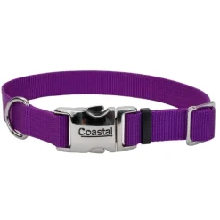 Hot Coastal Collar Adjustable Dog With Metal Buckle, Purple