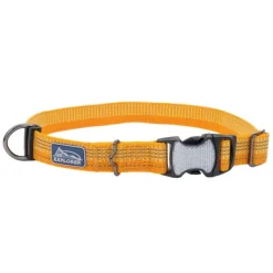 Discount Coastal Collar Brights Reflective Adjustable Dog, Desert