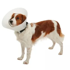 Sale Cevasco Collar Isabelino Buster