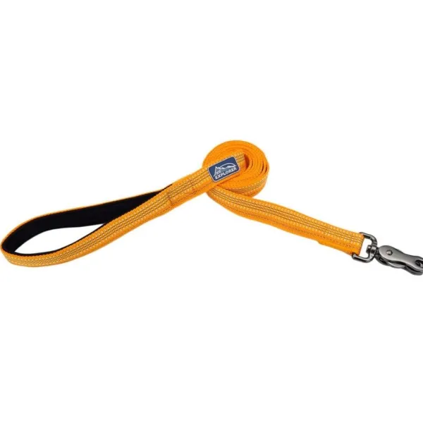 New Coastal Correa Brights Reflective Dog, Desert