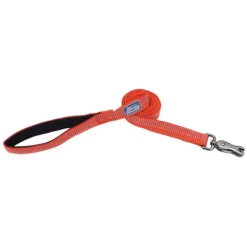 New Coastal Correa Brights Reflective Dog, Canyon