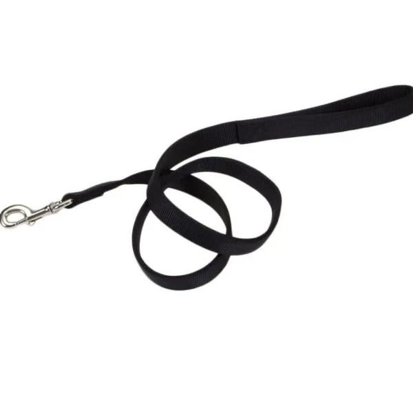 Online Coastal Correa Double-Ply Dog 1" X 06'