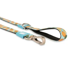 Clearance Max & Molly Correa Sweet Pineapple - 1.2 Metros