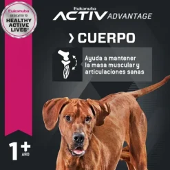 Online Eukanuba Adulto Large Alimento Para Perro