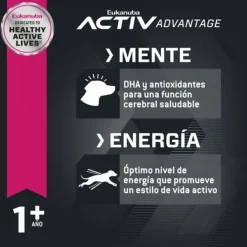 Online Eukanuba Adulto Large Alimento Para Perro
