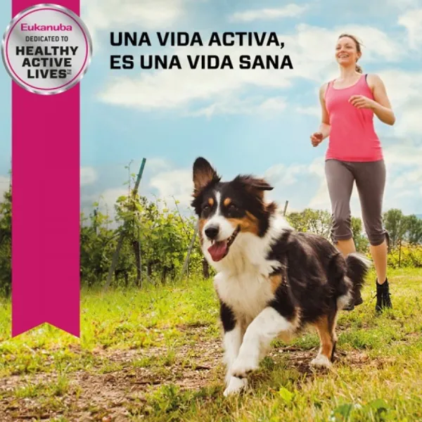 New Eukanuba Adulto Small Alimento Para Perro