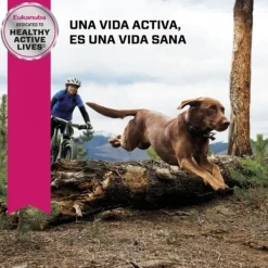 Clearance Eukanuba Senior Large Alimento Para Perro