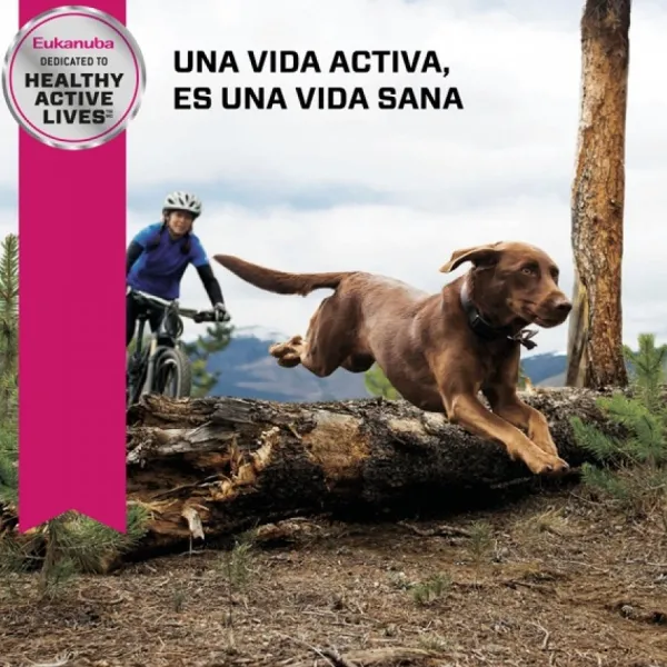Clearance Eukanuba Senior Large Alimento Para Perro