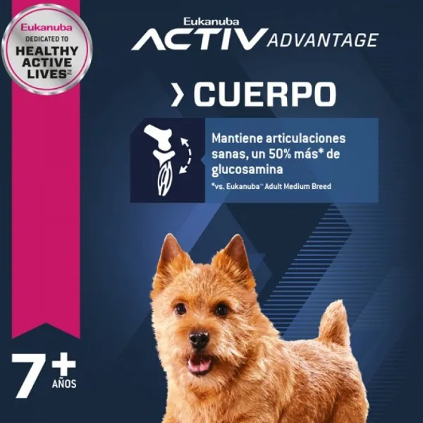 Outlet Eukanuba Senior Small Alimento Para Perro