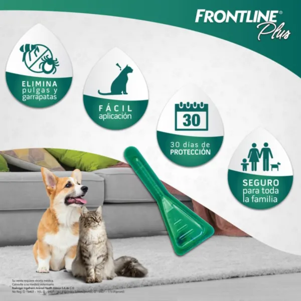 Frontline P. Perro