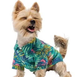 Outlet Mister & Misses Pet Guayabera Para Mascota Honolulu