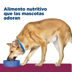 Outlet Hill's Hills Canine I/D Digestive Care