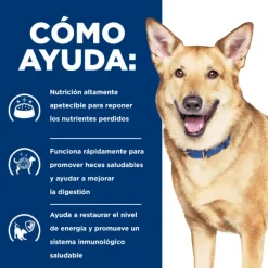 Outlet Hill's Hills Canine I/D Digestive Care
