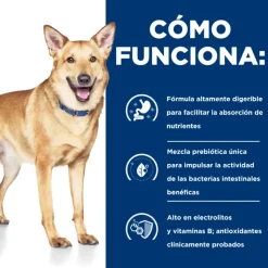 Outlet Hill's Hills Canine I/D Digestive Care