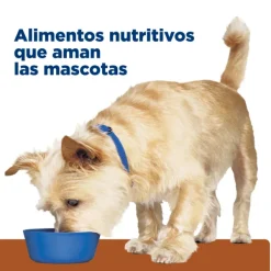Best Hill's Hills Canine K/D Kidney Care