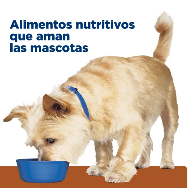 Best Hill's Hills Canine K/D Kidney Care