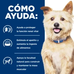 Best Hill's Hills Canine K/D Kidney Care