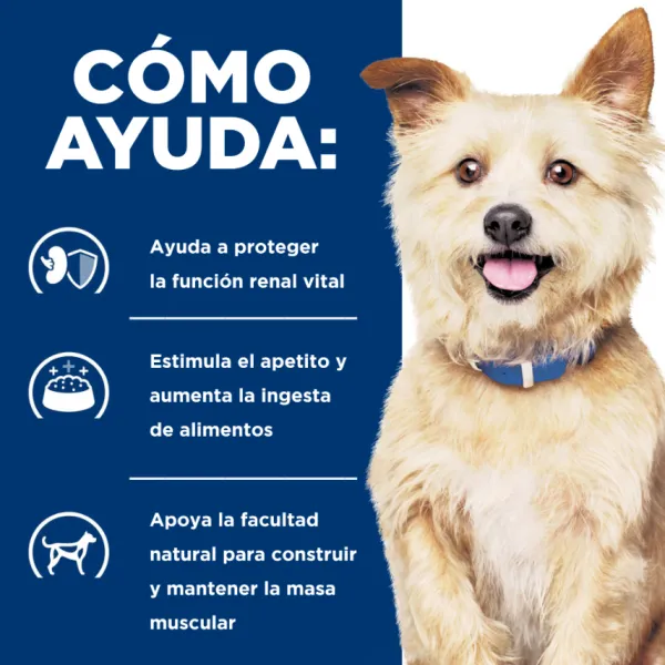 Best Hill's Hills Canine K/D Kidney Care