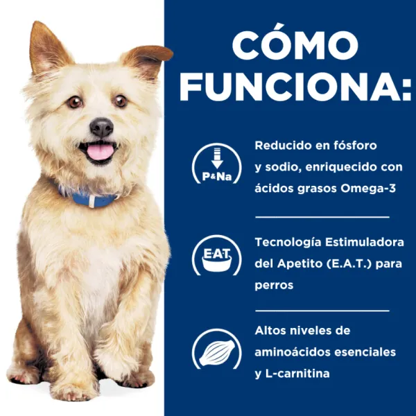 Best Hill's Hills Canine K/D Kidney Care
