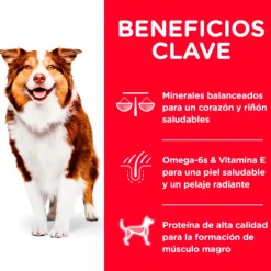 Clearance Hill's Hills Canine Mature Active Longevity 7+