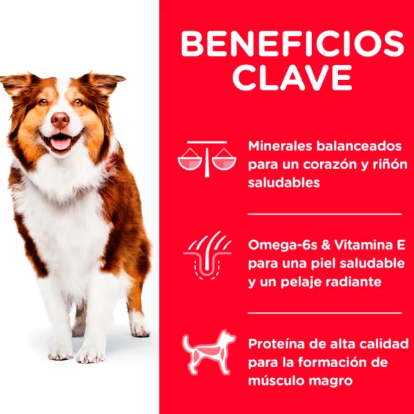 Clearance Hill's Hills Canine Mature Active Longevity 7+