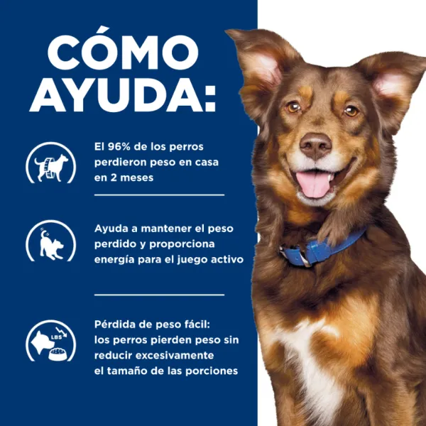 Hill's Hills Canine Metabolic