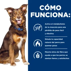 Hill's Hills Canine Metabolic