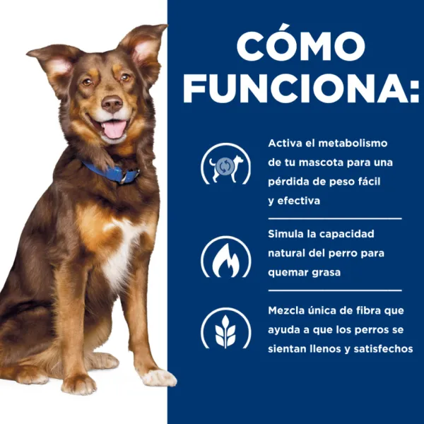 Hill's Hills Canine Metabolic
