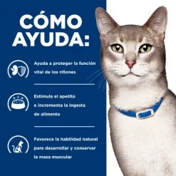 Online Hill's Hills Feline K/D Kidney Care