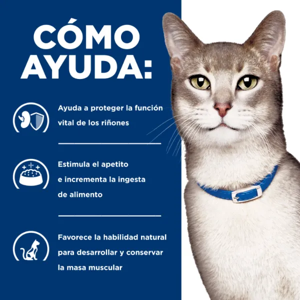 Online Hill's Hills Feline K/D Kidney Care