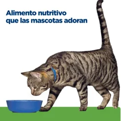 Hot Hill's Hills Feline Metabolic Alimento Para Gatos