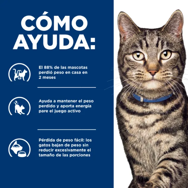 Hot Hill's Hills Feline Metabolic Alimento Para Gatos