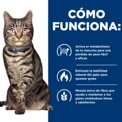 Hot Hill's Hills Feline Metabolic Alimento Para Gatos
