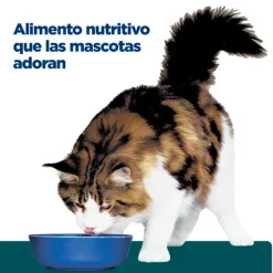Discount Hill's Hills Feline W/D Digestive / Weight Mgmt.
