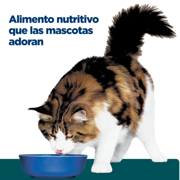 Discount Hill's Hills Feline W/D Digestive / Weight Mgmt.