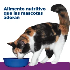 Online Hill's Hills Feline Y/D Thyroid Care 1.81 Kg