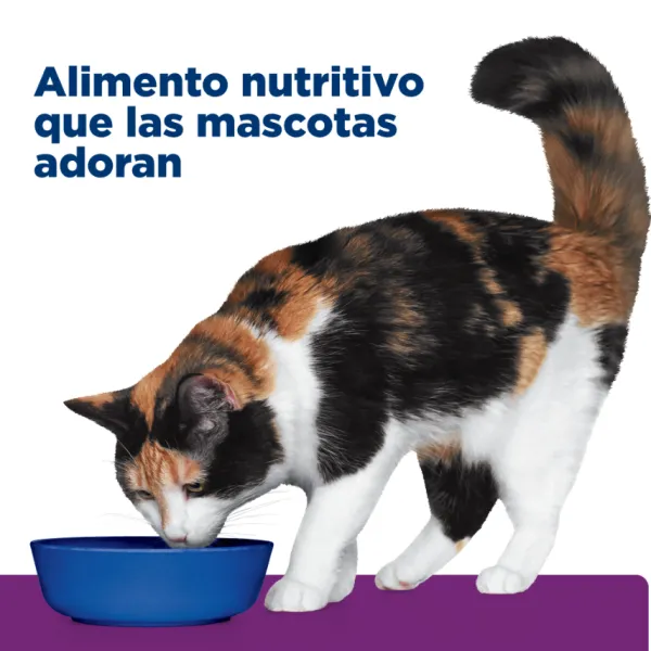 Online Hill's Hills Feline Y/D Thyroid Care 1.81 Kg
