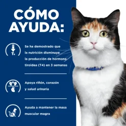 Online Hill's Hills Feline Y/D Thyroid Care 1.81 Kg