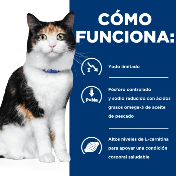 Online Hill's Hills Feline Y/D Thyroid Care 1.81 Kg