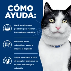 Online Hill's Hills Lata Feline I/D Cuidado Digestivo Alimento H Medo Para Gatos