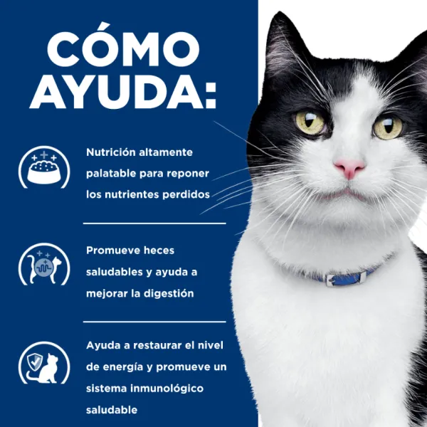Online Hill's Hills Lata Feline I/D Cuidado Digestivo Alimento H Medo Para Gatos